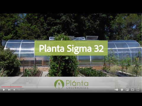 Sigma 32 Size: 10' × 32' × 7' greenhouse 5 Year Warranty 🌹🌹🌹🌹